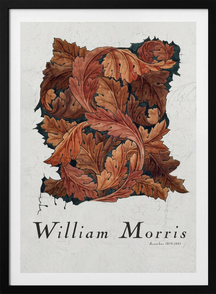 Acanthus - Poster / Art Print