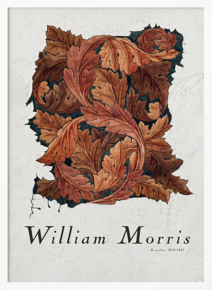 Acanthus - Poster / Art Print