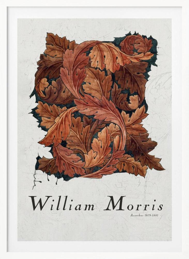 Acanthus - Poster / Art Print