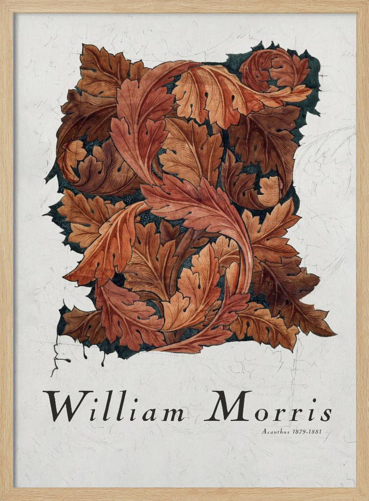 Acanthus - Poster / Art Print
