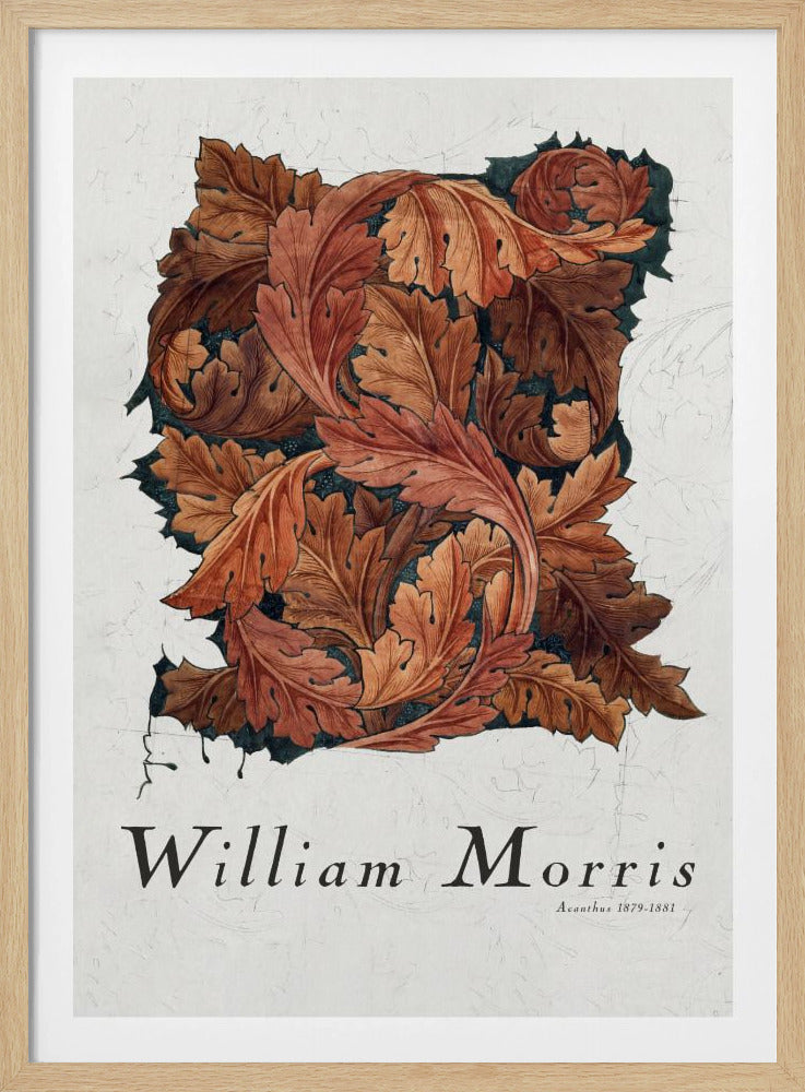 Acanthus - Poster / Art Print