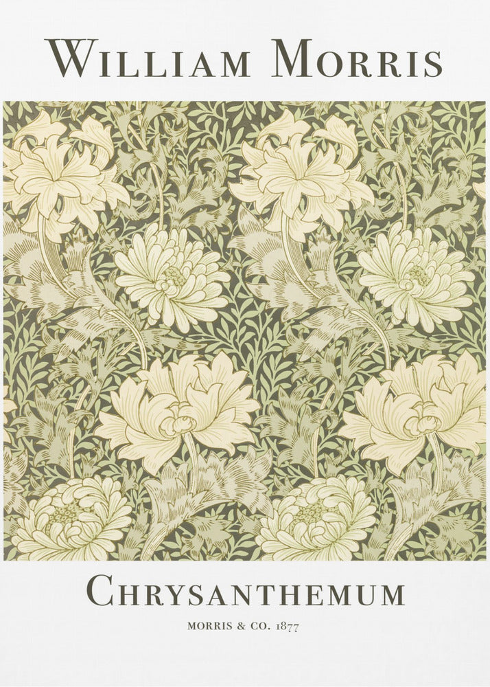 Chrysanthemum - Poster / Art Print
