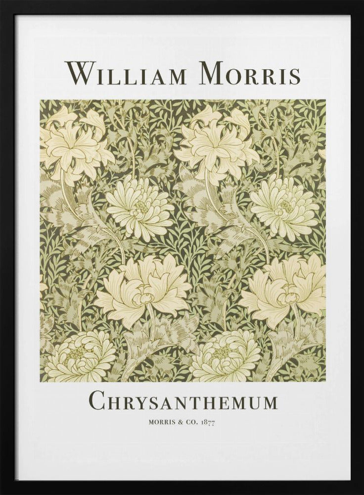 Chrysanthemum - Poster / Art Print