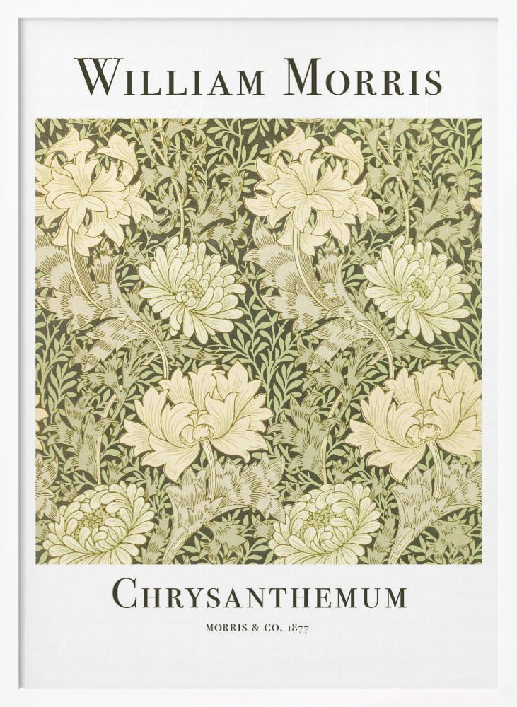 Chrysanthemum - Poster / Art Print