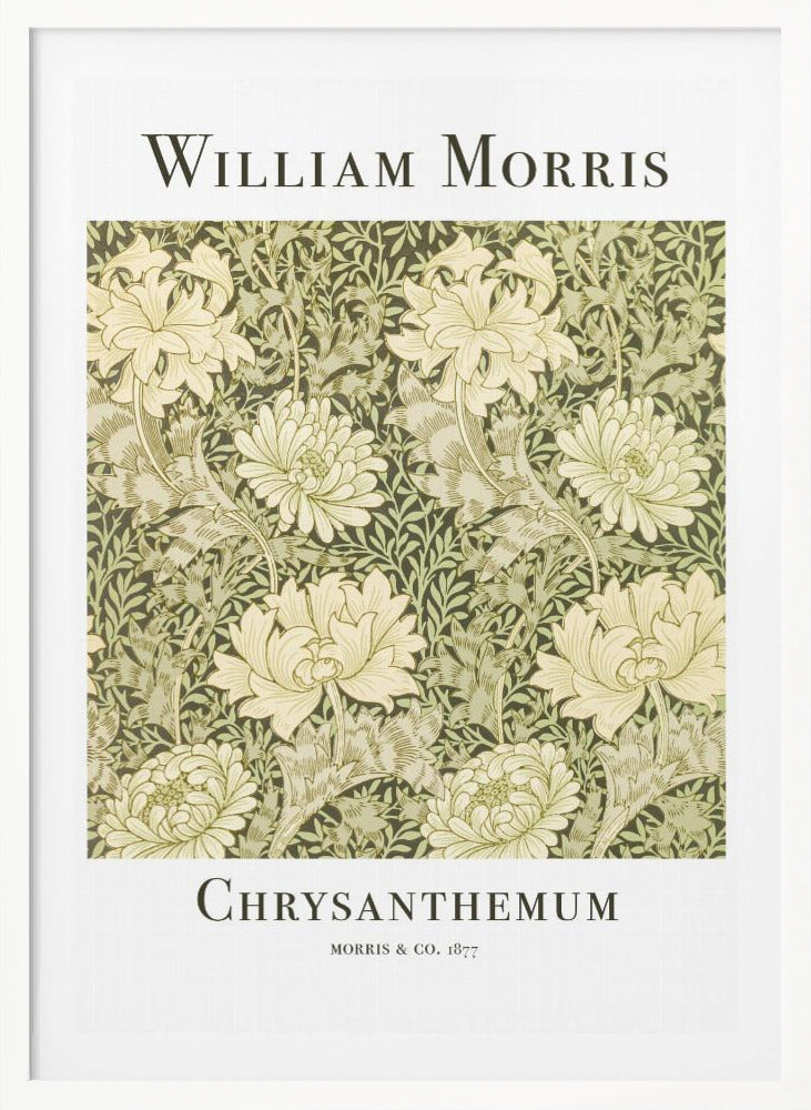 Chrysanthemum - Poster / Art Print