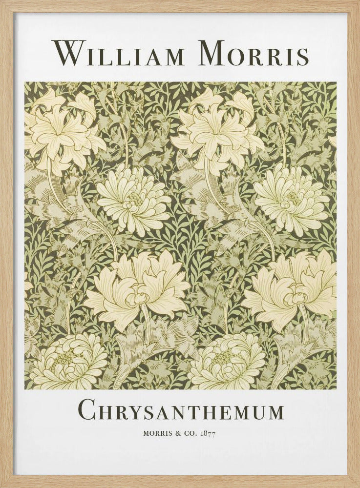 Chrysanthemum - Poster / Art Print