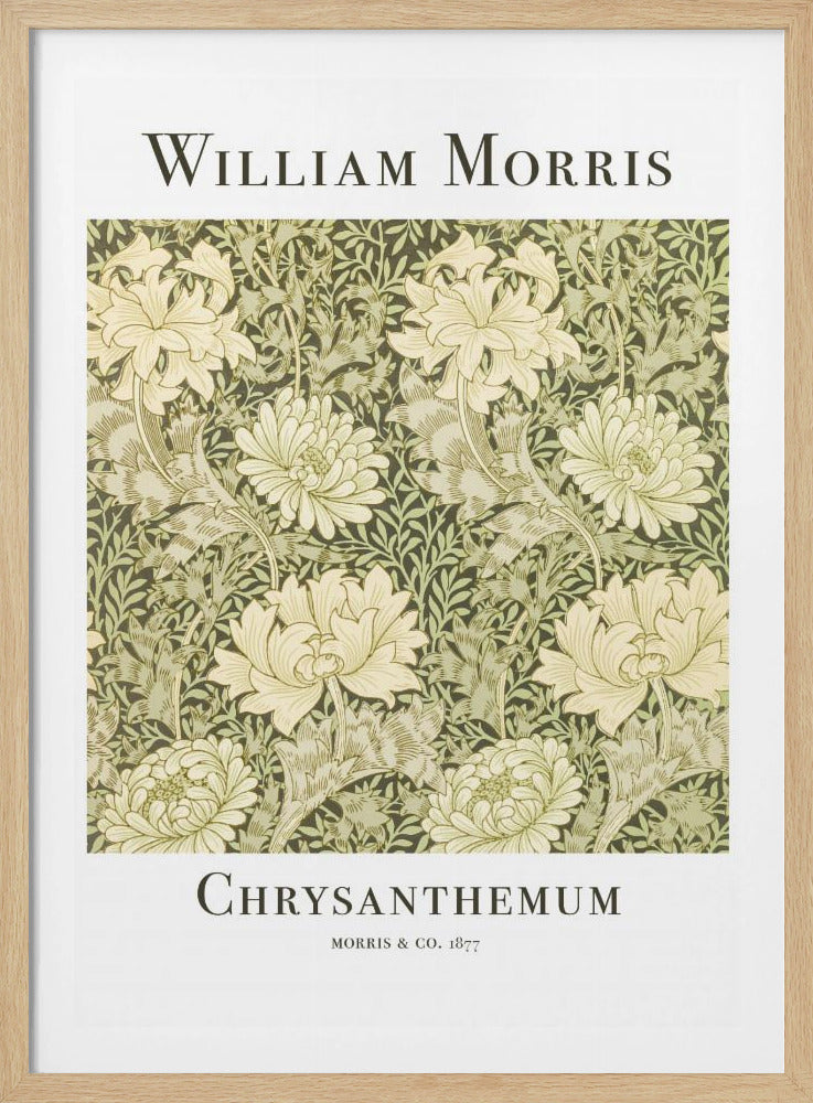 Chrysanthemum - Poster / Art Print