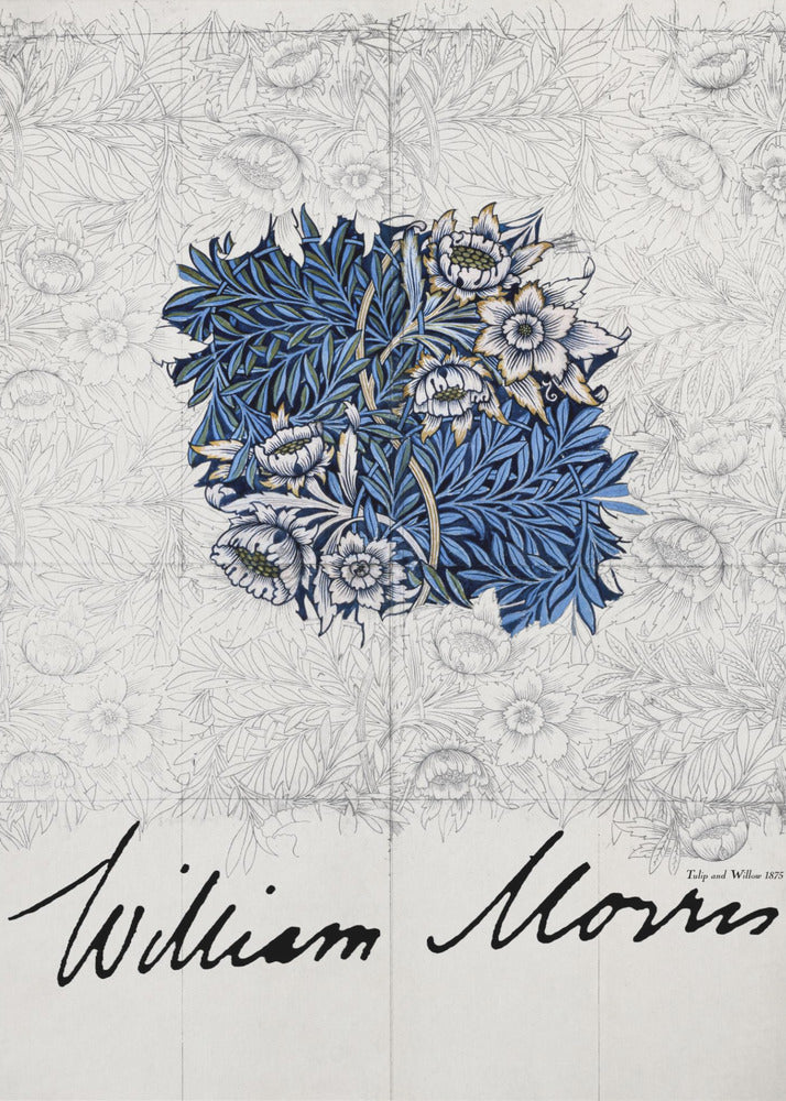 Tulip and Willow - Poster / Art Print
