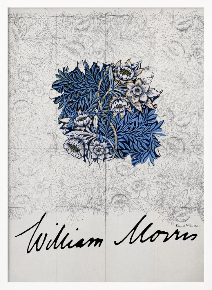 Tulip and Willow - Poster / Art Print