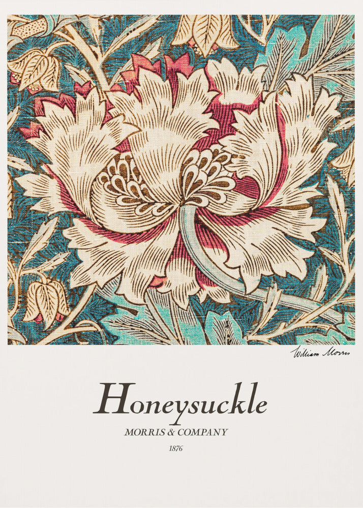 Honeysuckle - Poster / Art Print
