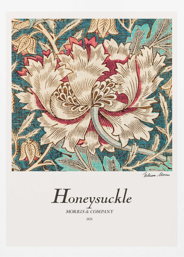 Honeysuckle - Poster / Art Print