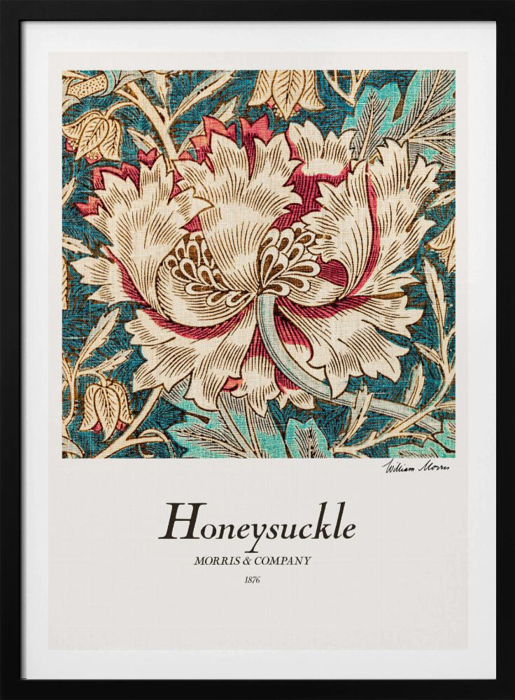 Honeysuckle - Poster / Art Print