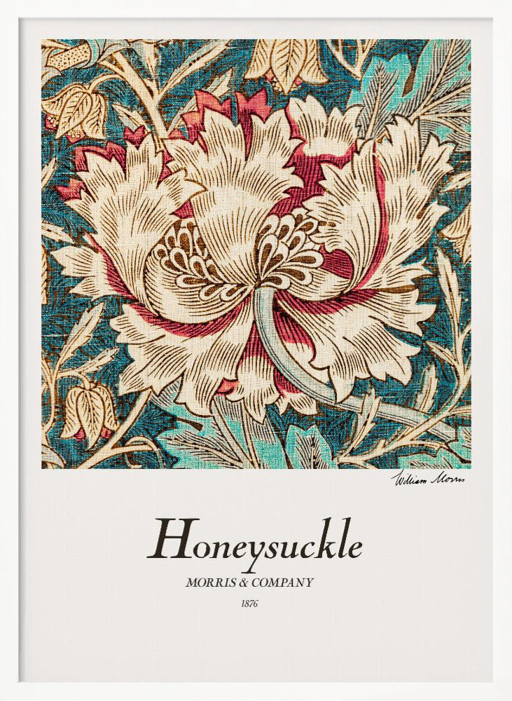Honeysuckle - Poster / Art Print