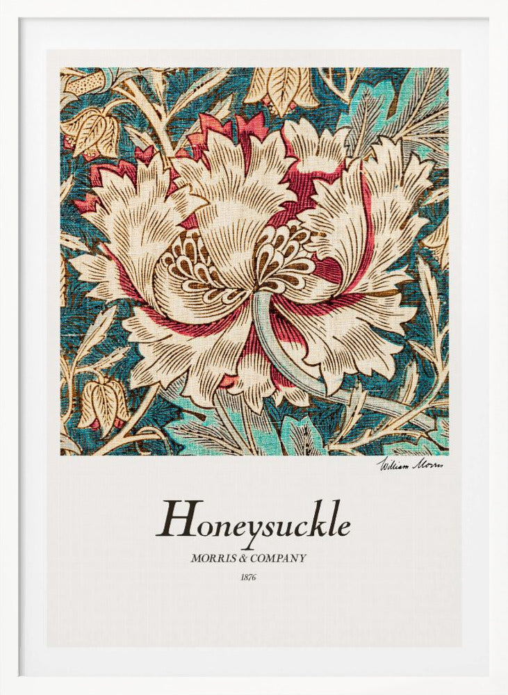 Honeysuckle - Poster / Art Print