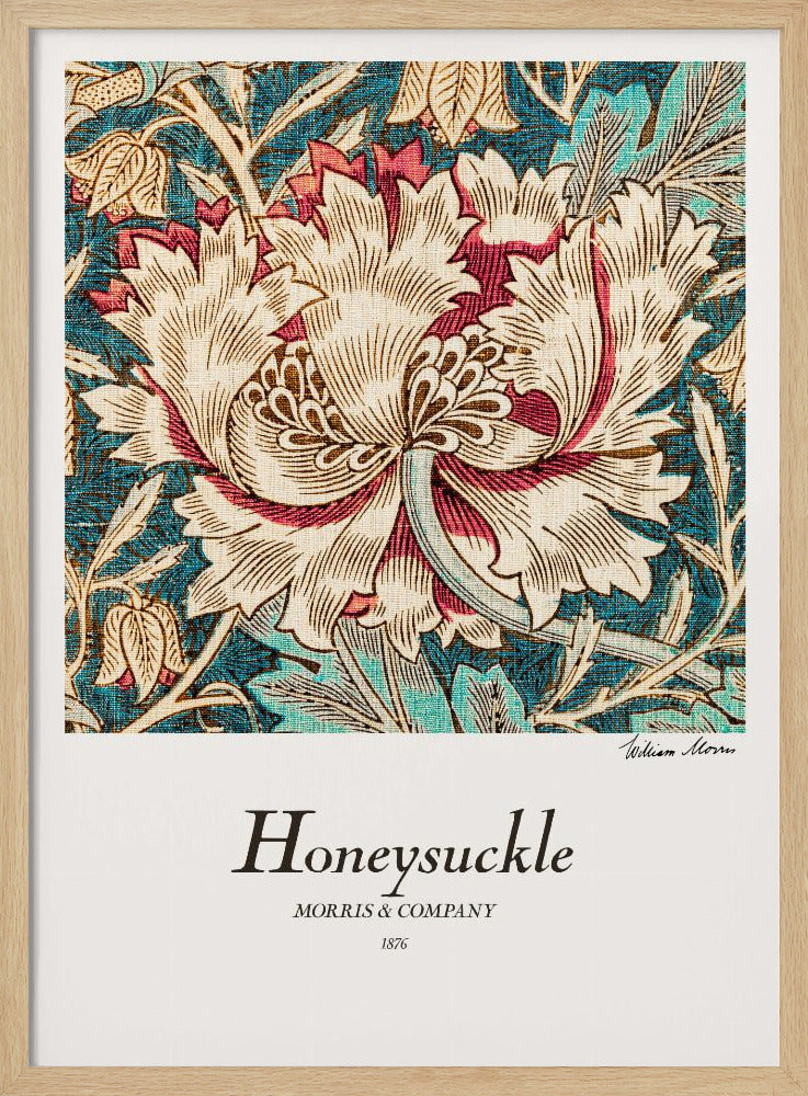 Honeysuckle - Poster / Art Print
