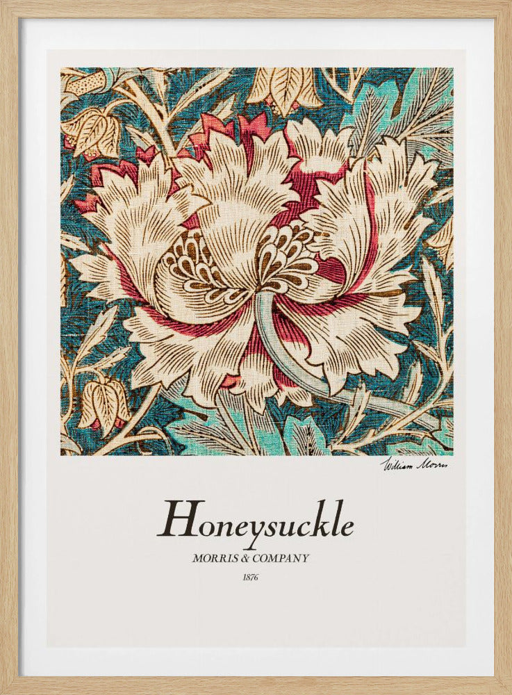 Honeysuckle - Poster / Art Print