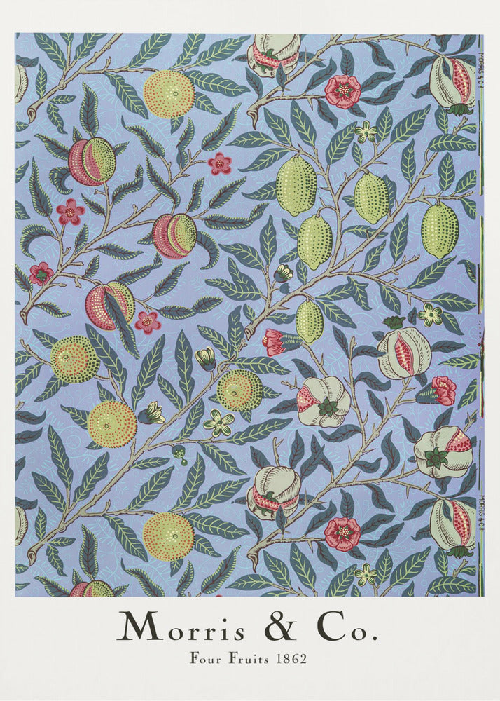 Four Fruits - Poster / Art Print