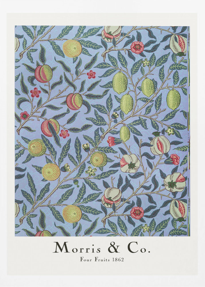 Four Fruits - Poster / Art Print