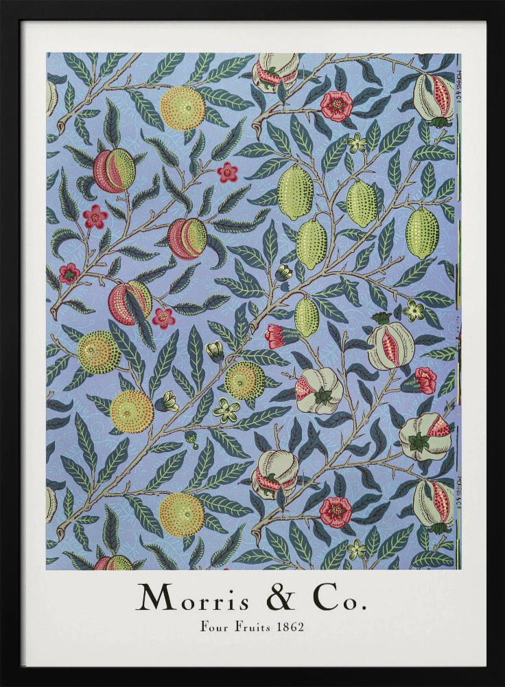 Four Fruits - Poster / Art Print