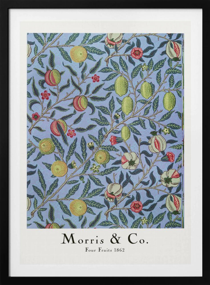 Four Fruits - Poster / Art Print