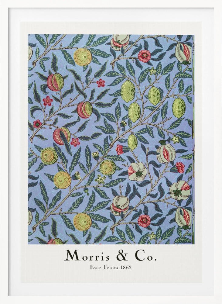 Four Fruits - Poster / Art Print