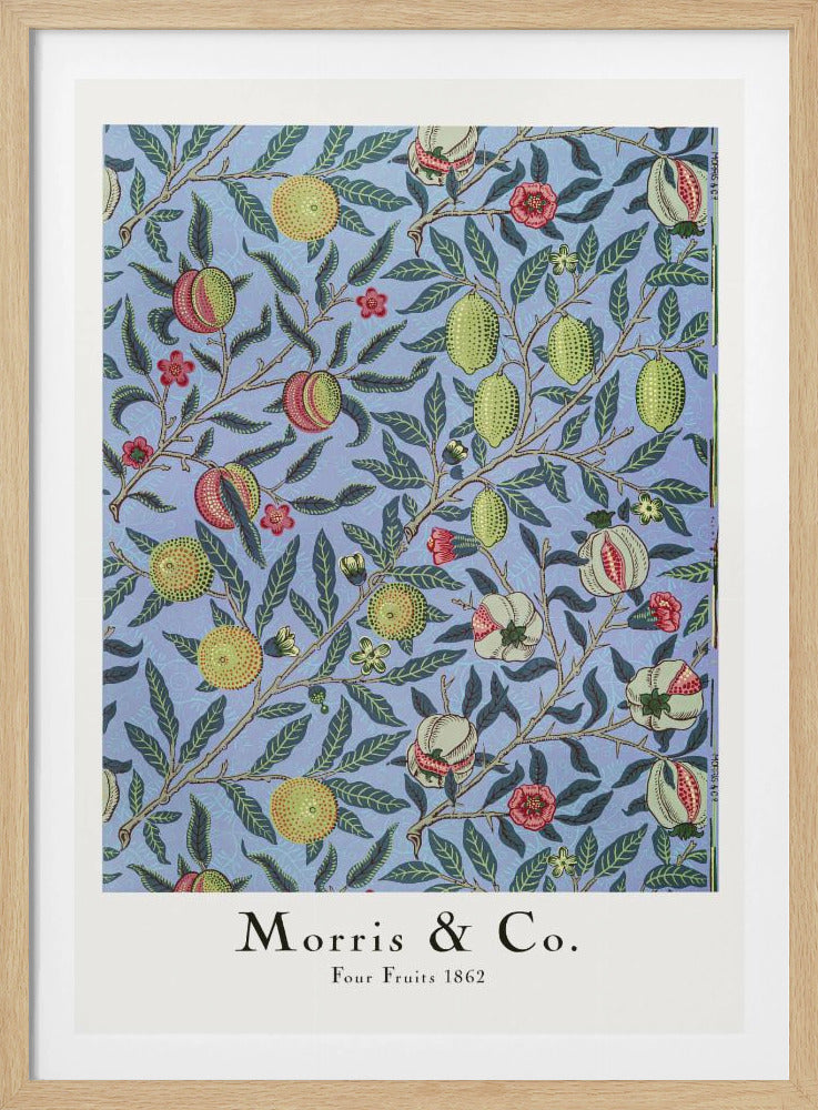 Four Fruits - Poster / Art Print