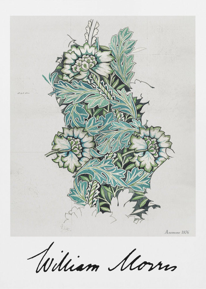 Anemone - Poster / Art Print
