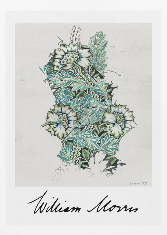 Anemone - Poster / Art Print