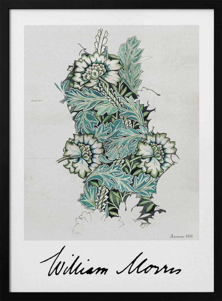 Anemone - Poster / Art Print