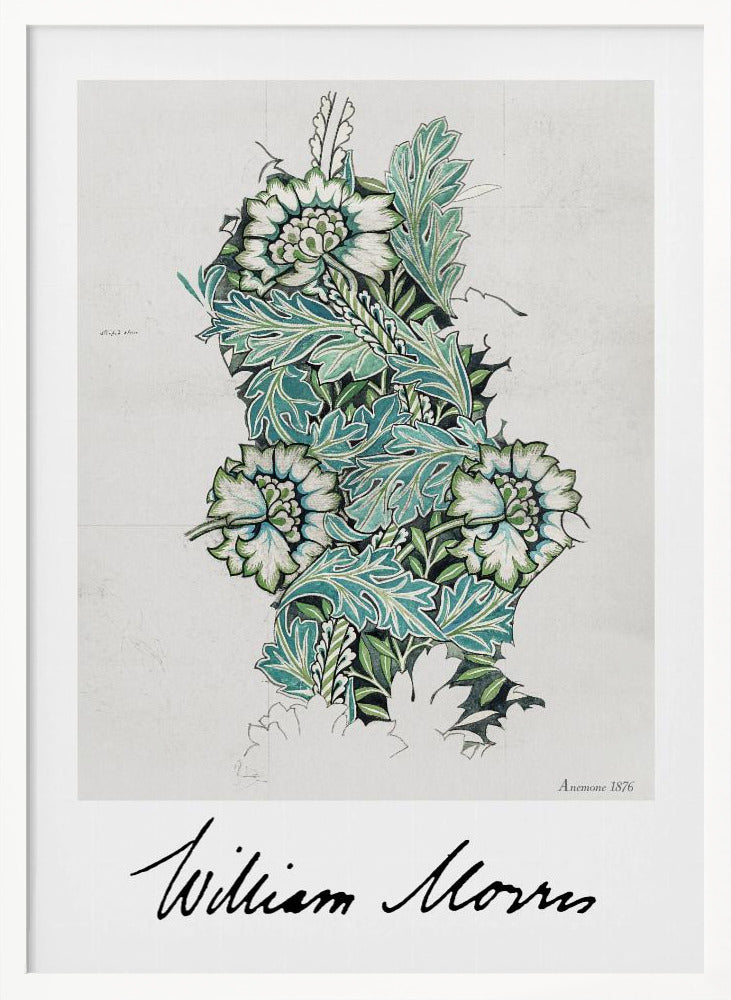 Anemone - Poster / Art Print