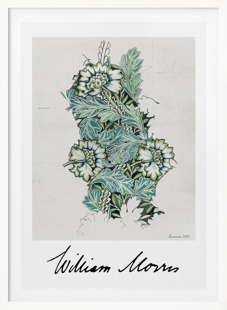 Anemone - Poster / Art Print