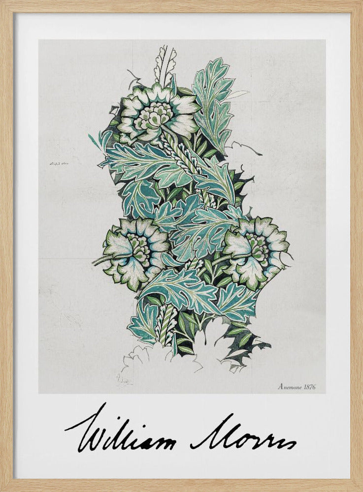 Anemone - Poster / Art Print