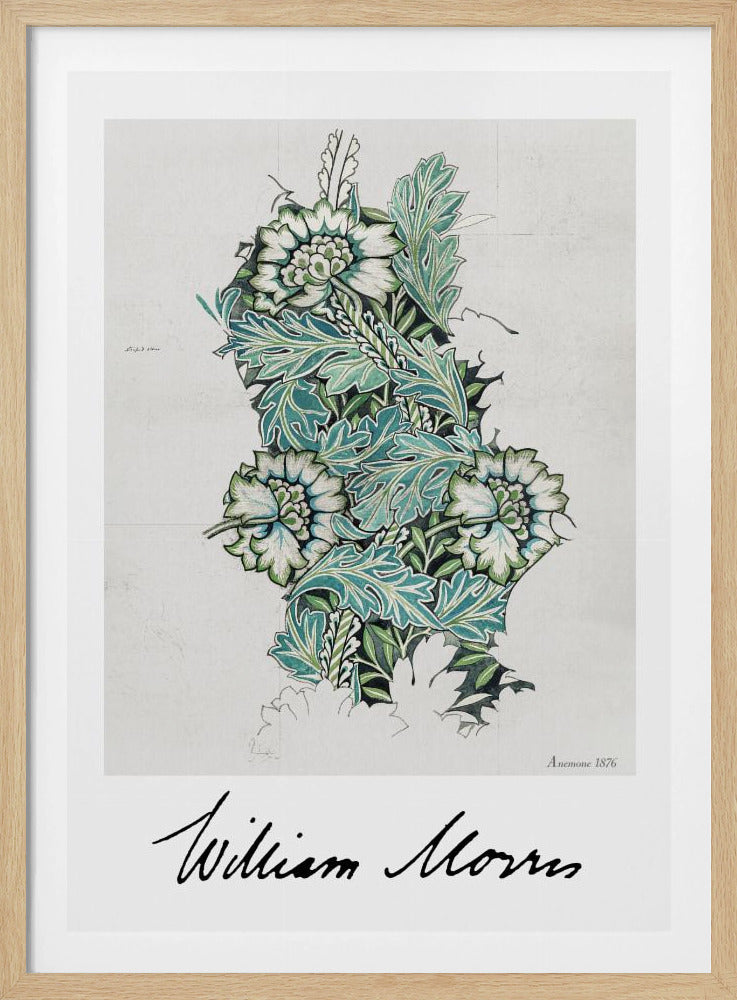 Anemone - Poster / Art Print