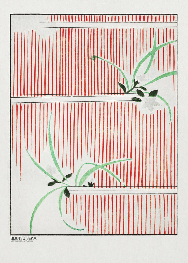 Morning Glory - Poster / Art Print