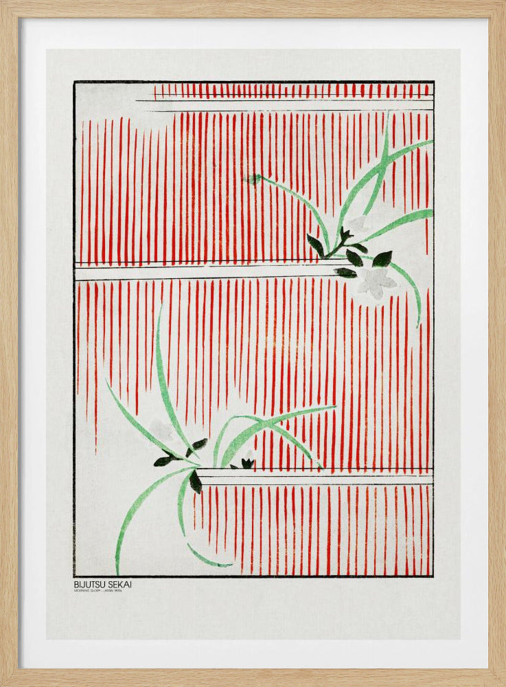 Morning Glory - Poster / Art Print
