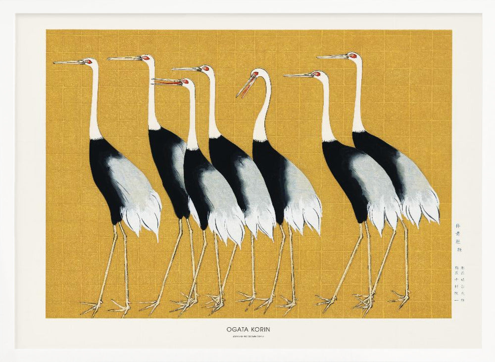 Japanese Red Crown Crane - Poster / Art Print