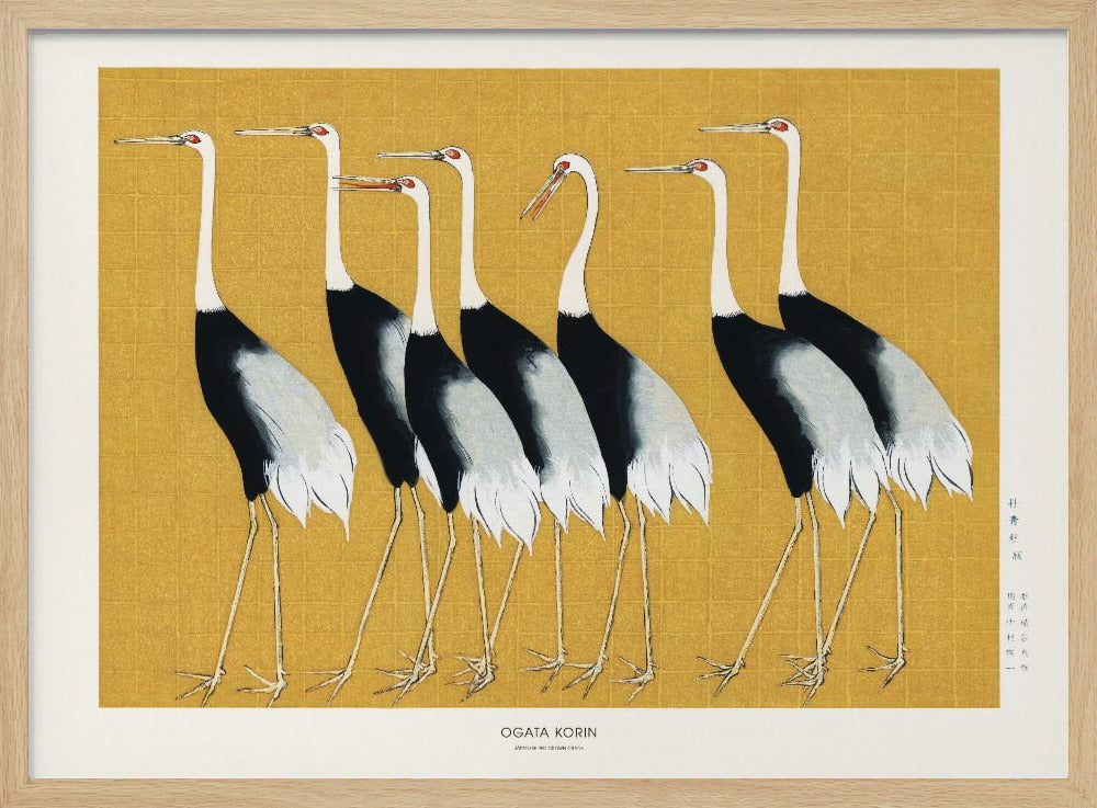 Japanese Red Crown Crane - Poster / Art Print