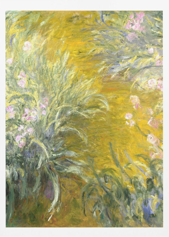 The Path through the Irises - Poster / Art Print