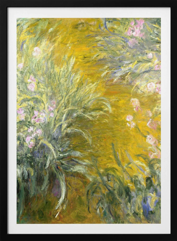 The Path through the Irises - Poster / Art Print