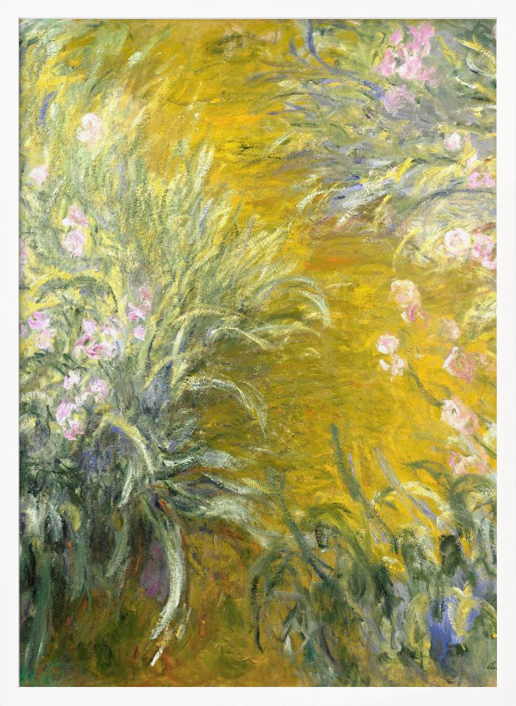 The Path through the Irises - Poster / Art Print