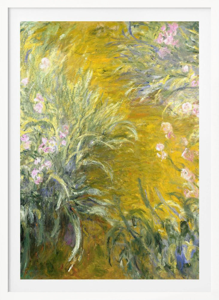 The Path through the Irises - Poster / Art Print