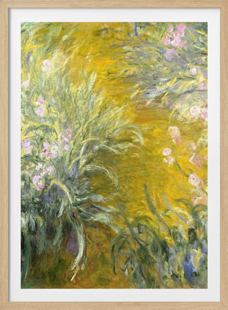 The Path through the Irises - Poster / Art Print