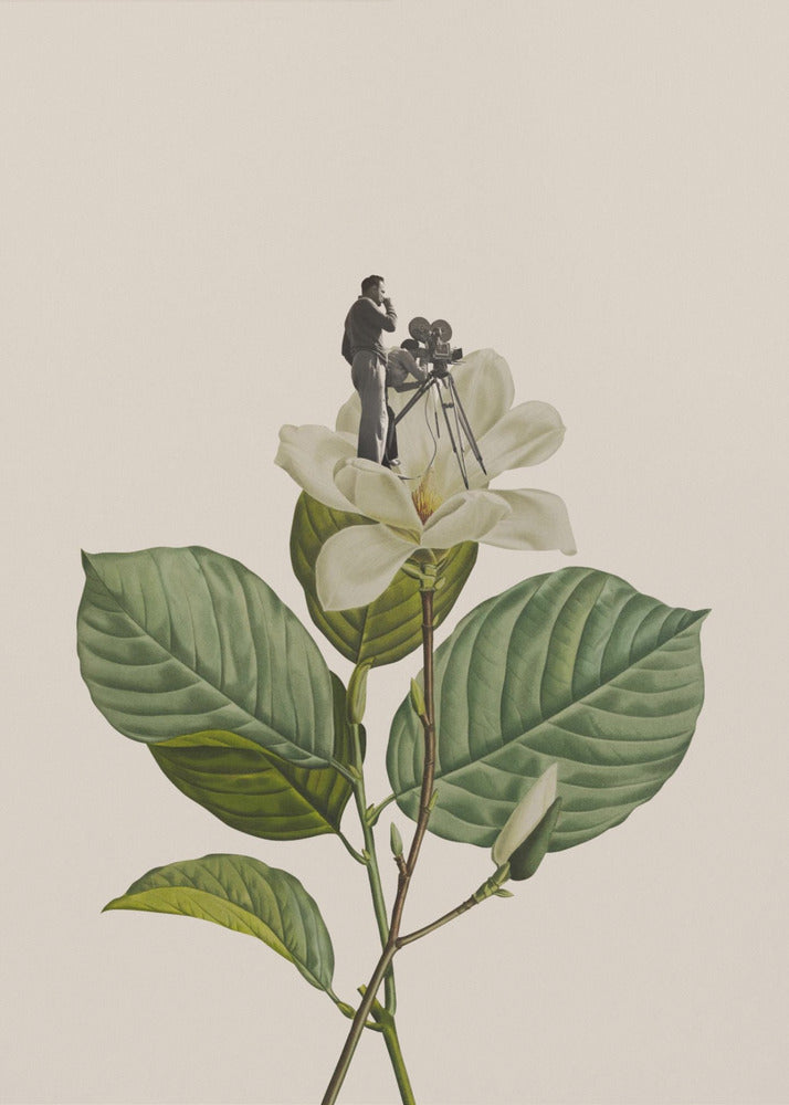 Botanical vintage cameraman - Poster / Art Print
