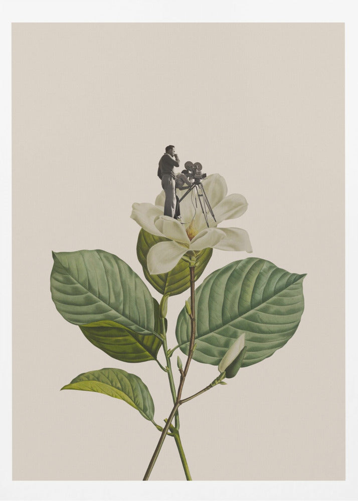 Botanical vintage cameraman - Poster / Art Print
