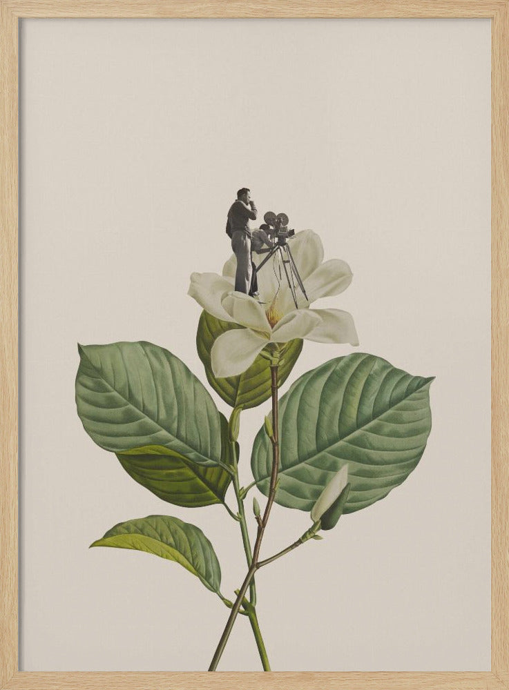 Botanical vintage cameraman - Poster / Art Print