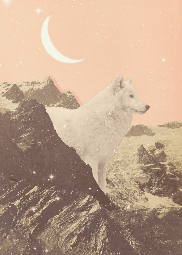 Giant White Wolf In Mountains - Poster / Art Print