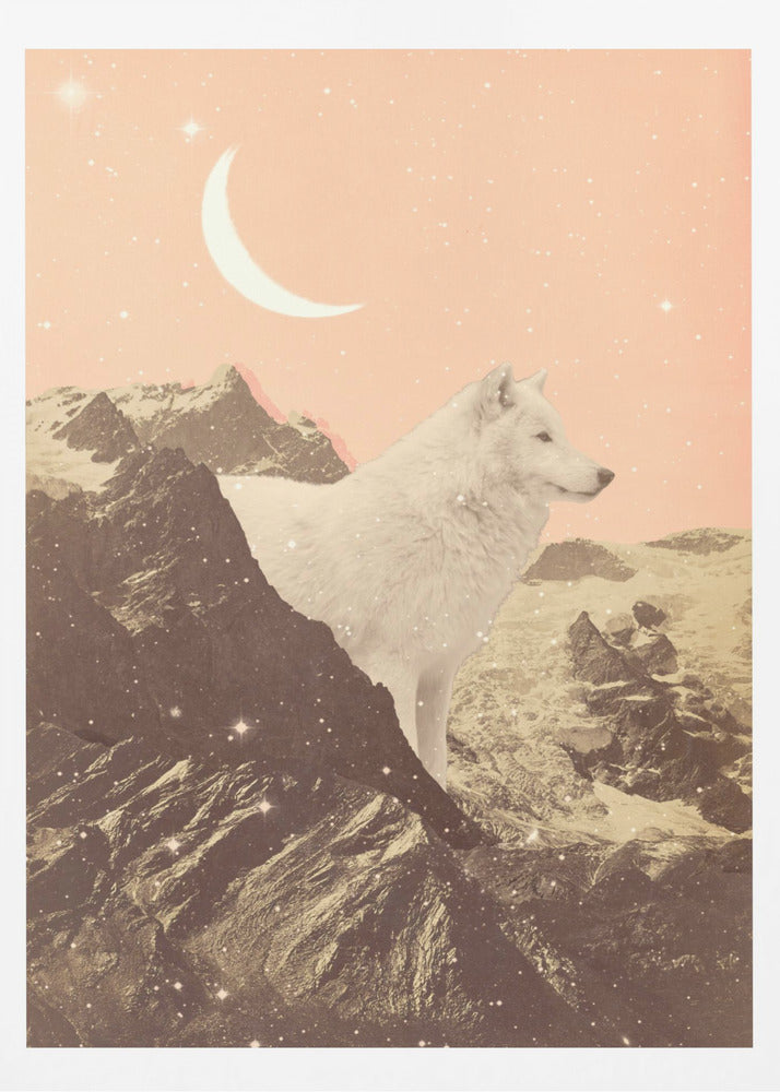 Giant White Wolf In Mountains - Poster / Art Print