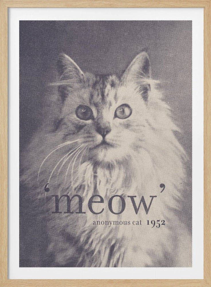 Famous Quote Cat - Poster / Art Print