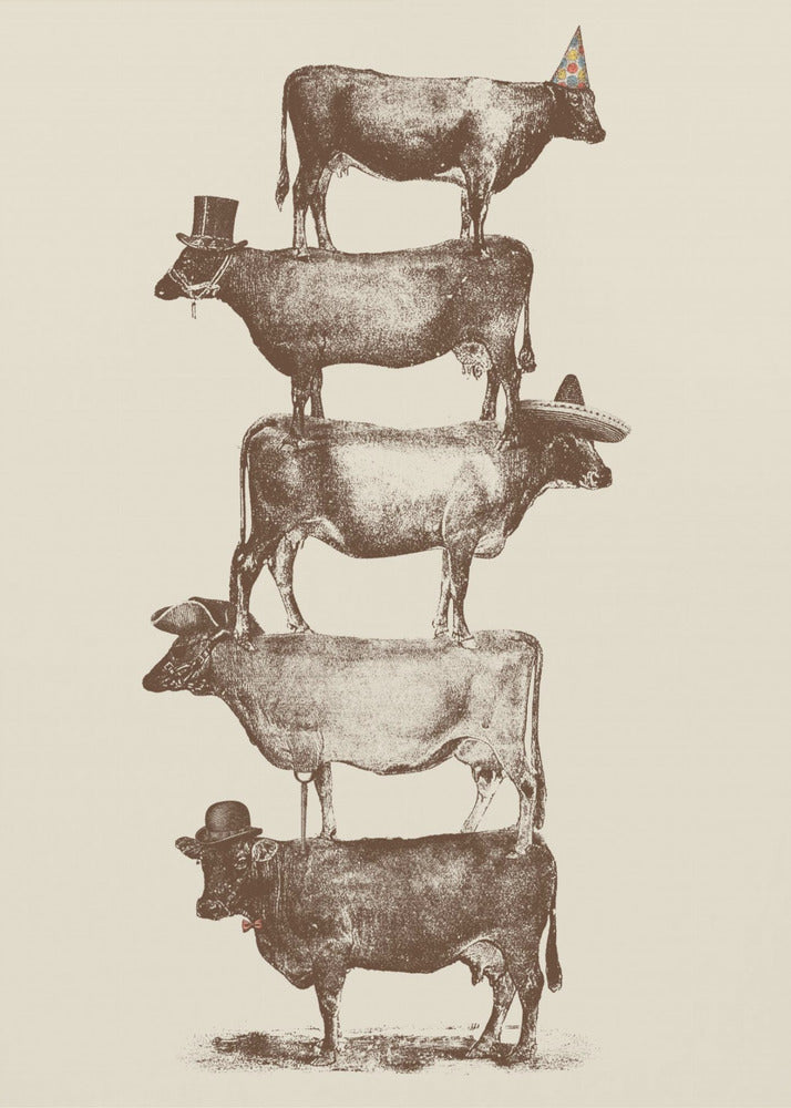 Cow Cow Nuts - Poster / Art Print