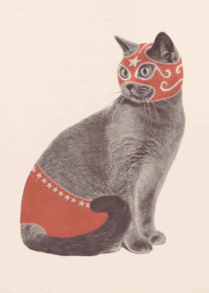 Chat Catcheur - Poster / Art Print